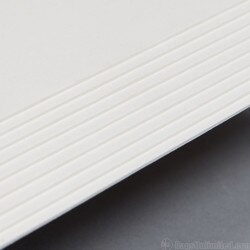 Acid-free BACKINGS for LP Records.